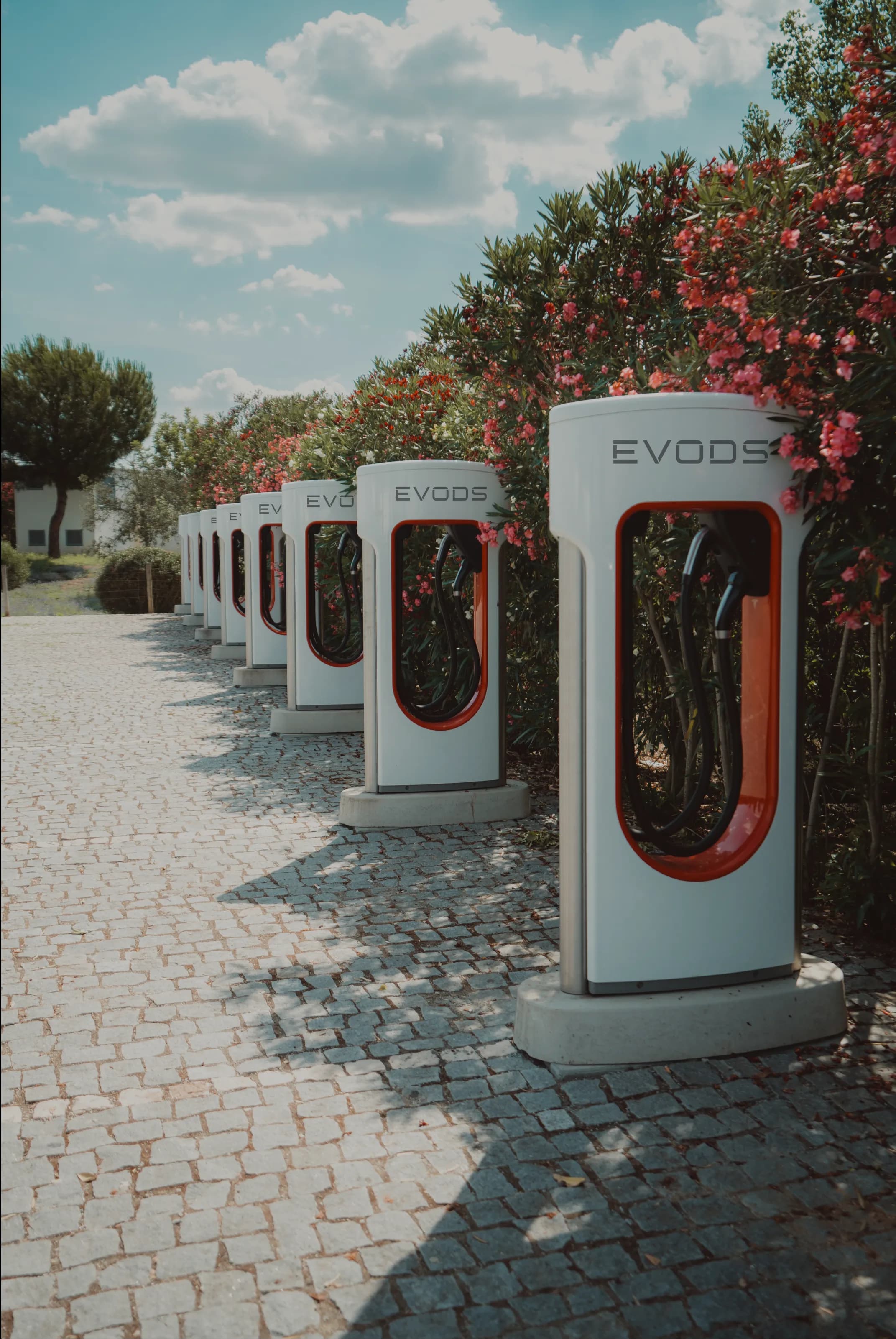 Row of Tesla Superchargers